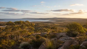 Western Australian coastal landscape at golden hour